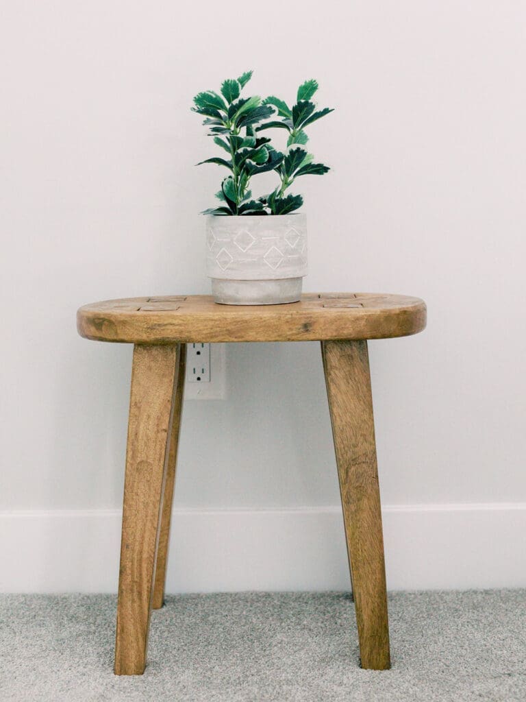 A natural wooden accent table with a plant on top at a Richmond newborn nursery photography session by Katie Stansfield Photography.