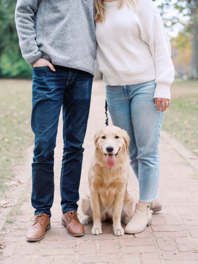 A close-up of a dog at a family photography session in Forest Hill Park in Richmond, VA by Katie Stansfield Photography.