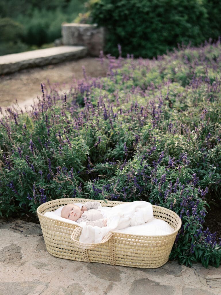 A newborn laying in a basket in a garden during a Chesterfield newborn photography session by Katie Stansfield Photography.